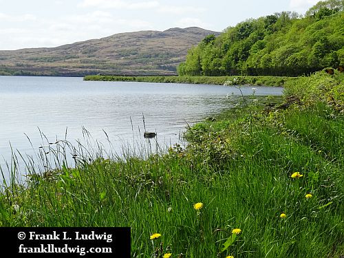 Lough Gill